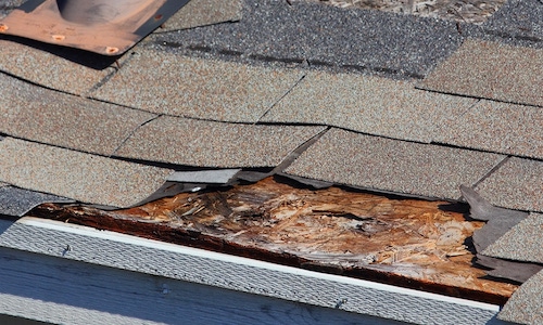 shingle roof repair in Concord